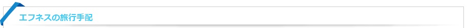 エフネスの旅行手配